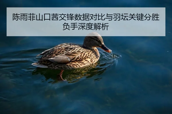 陈雨菲山口茜交锋数据对比与羽坛关键分胜负手深度解析 | BAJIESPORTS