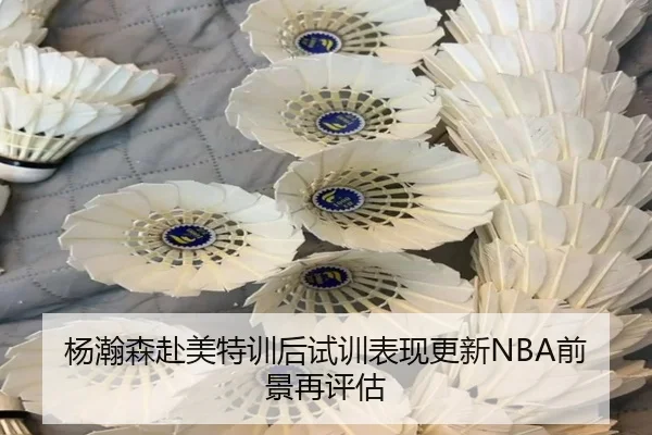 杨瀚森赴美特训后试训表现更新NBA前景再评估 | BAJIESPORTS